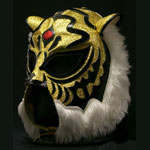 ���奿�������ޥ������ե������֥���TIGER ARTS���䥮������� SE